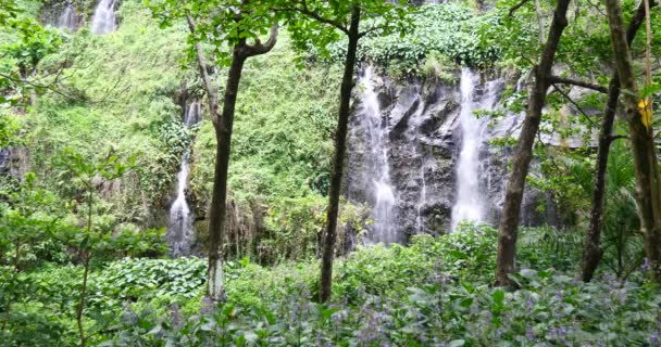 Wasserfall in tropischer Naturlandschaft, Kraft natürlicher Ressourcen, reine grüne Energie, schöne ruhige Umgebung, mächtige Wasserfall-Kaskade, Nationalpark-Schutzgebiet See und Fluss - Filmmaterial, Video