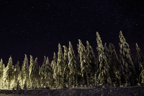 Nacht hemel Lapland Finland - Foto, afbeelding