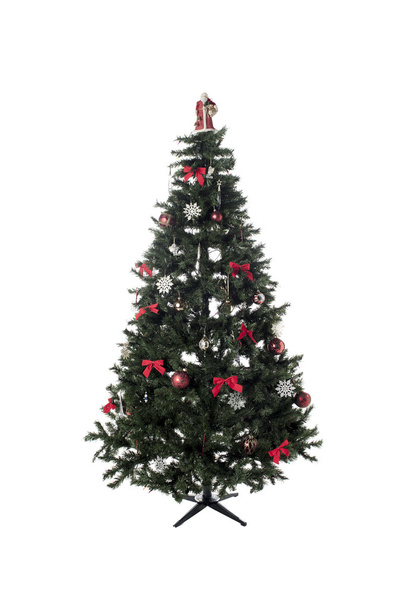 christmas tree - Valokuva, kuva