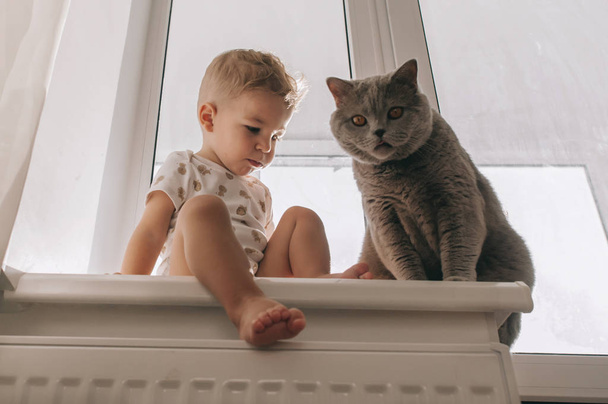 Kid and his pet cat - Foto, afbeelding