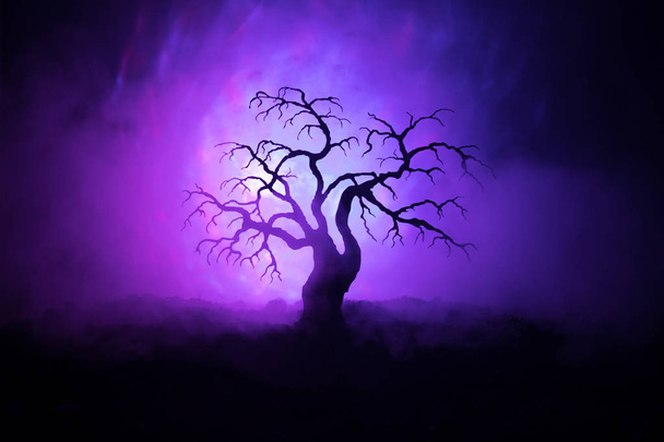 Σιλουέτα του scary Απόκριες δέντρο στο σκοτεινό, ομιχλώδη τονισμένα φόντο με φεγγάρι στην πίσω πλευρά. - Φωτογραφία, εικόνα
