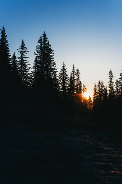 nature, forest, mountains and sunrise - Photo, Image