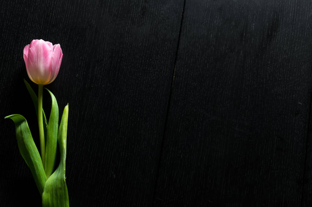 Frontera de tulipanes rosados brillantes flores sobre fondo de madera negro
. - Foto, Imagen