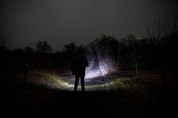 夜暗い森で奇妙な光。光と暗い森に立っている人のシルエット。霧の時に森林の暗い夜。超現実的な夜の森のシーン。ホラー ・ ハロウィン ・ コンセプト. - 写真・画像