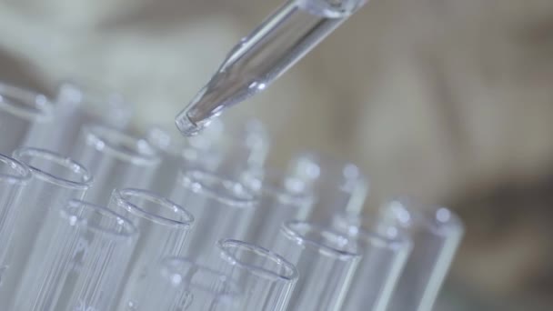 laboratory scientist working with a pipette analyzes and extract the DNA or molecules in the test tubes. - Footage, Video
