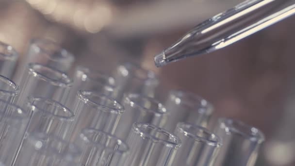 naukowiec laboratorium działa za pomocą pipety przeanalizuje i wyodrębnić Dna lub cząsteczek w probówkach. - Materiał filmowy, wideo