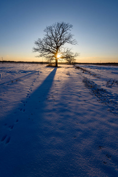 красочный зимний закат со световыми лучами, проходящими через большие
  - Фото, изображение