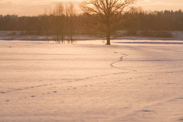 красочный зимний закат со световыми лучами, проходящими через большие
  - Фото, изображение
