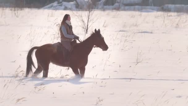 Piękna kobieta długowłose na brązowym koniu poprzez głębokie chałupa w forst - Materiał filmowy, wideo