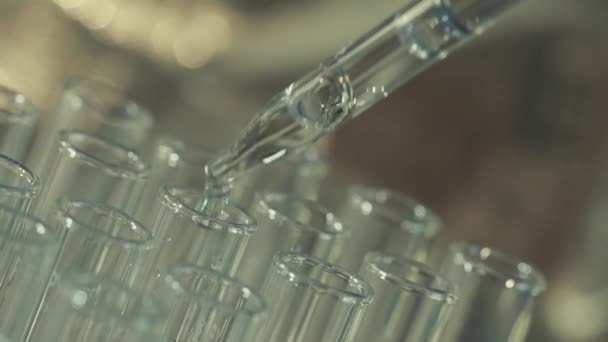 laboratorium wetenschapper werken met een pipet analyseert en pak de Dna of moleculen in de reageerbuisjes. - Video