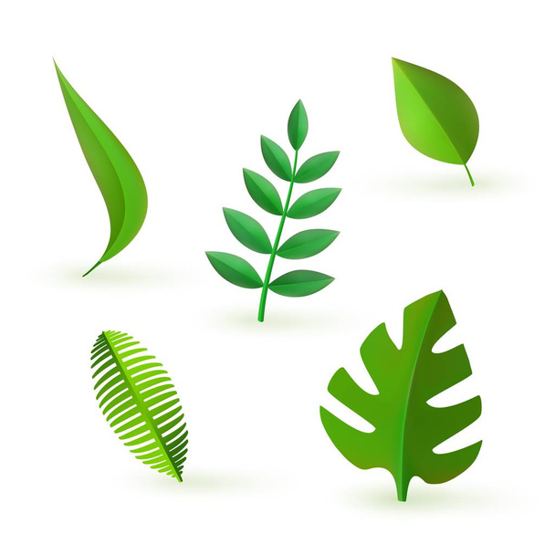 Vektor grüne Blätter Symbol gesetzt - Vektor, Bild