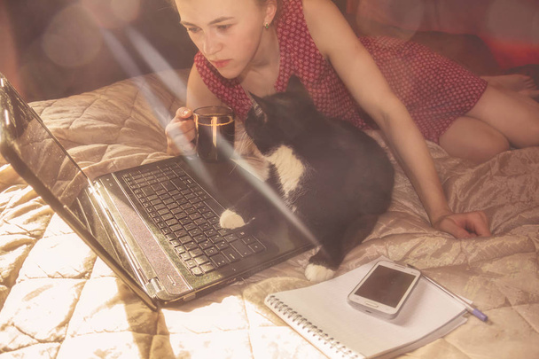 girl with black cat working on the computer - Photo, Image