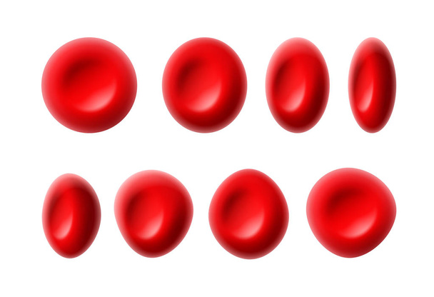 Glóbulos rojos - Vector, Imagen