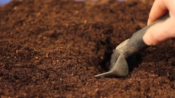 cavar um buraco no solo castanho para plantio
  - Filmagem, Vídeo