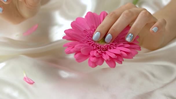 Hand tearing off gerbera petals, slow motion. - Footage, Video