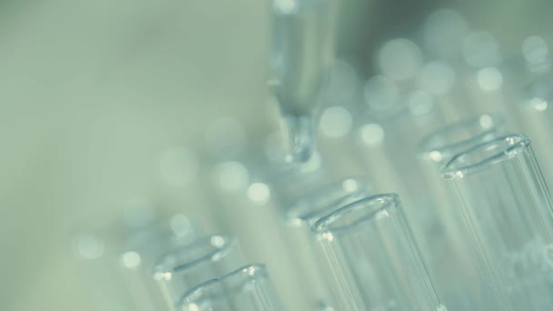 Εργαστήριο επιστήμονα που λειτουργεί με μια αμπούλα αναλύει και να εξαγάγετε το Dna ή μορίων στους σωλήνες δοκιμής. - Πλάνα, βίντεο