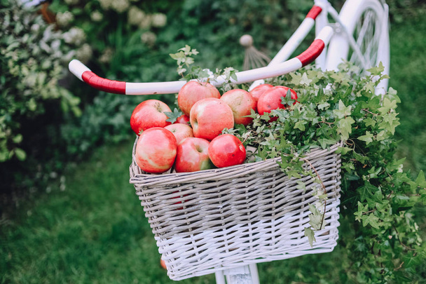 red apples white basket on a bicy - Foto, Imagem