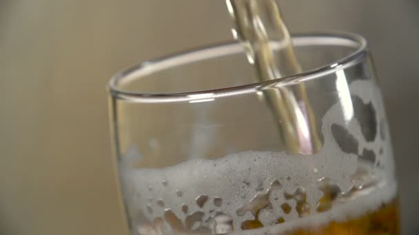 Light beer is poured into a glass on a gray background - Felvétel, videó