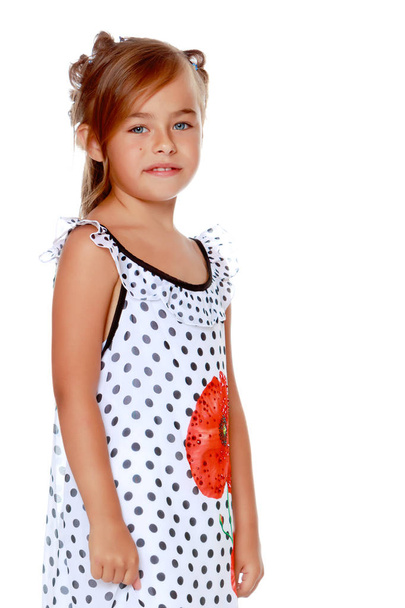 Fashionable little girl in a dress - Fotografie, Obrázek