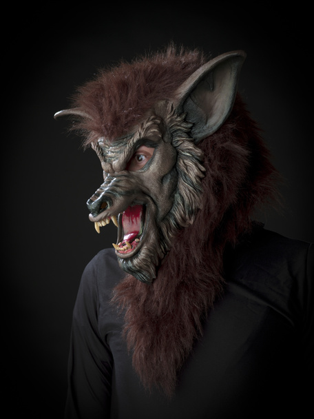 afbeelding van een weerwolf - Foto, afbeelding