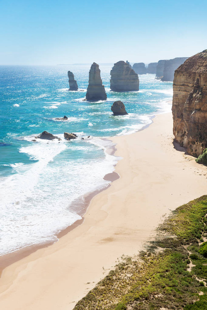 Δώδεκα Apostels με παραλία και χόρτο κατά το κατακόρυφο Great Ocean Road, Βικτόρια, Αυστραλία - Φωτογραφία, εικόνα