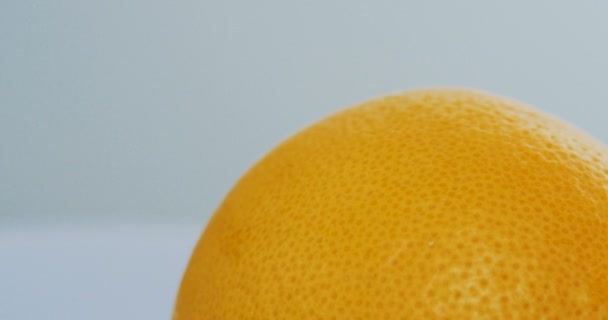 Close up of the orange grapefruit spinning on the white wall background. Macro shooting - Video