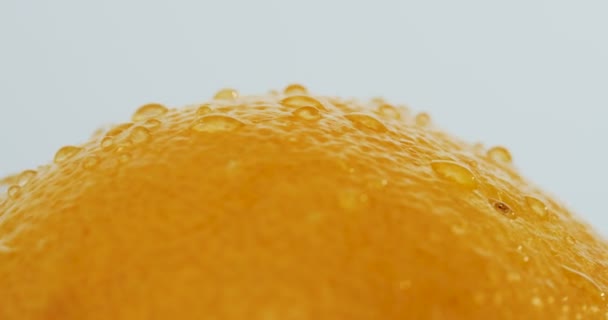 Macro shooting of the orange grapefruit with water drops rolling on the white wall background. Close up - Imágenes, Vídeo