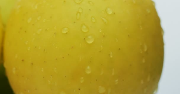 Macro shooting of yellow apples with water drops spinning on the white wall background. Close up - Materiał filmowy, wideo