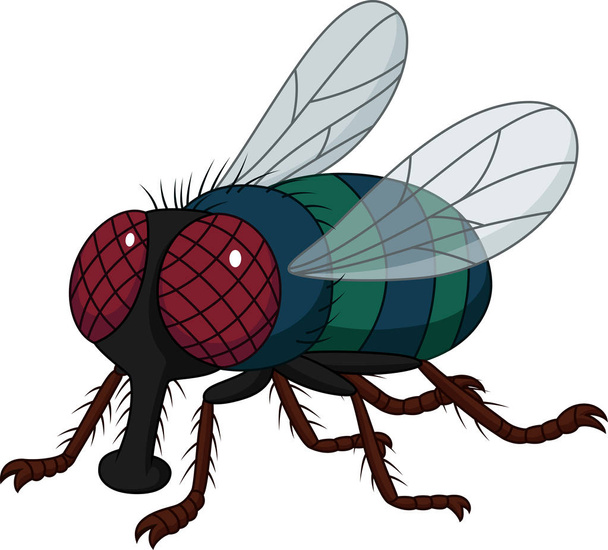 Casa de dibujos animados mosca aislada sobre fondo blanco
 - Vector, Imagen