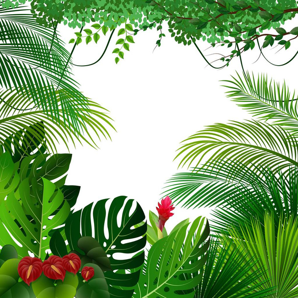 Vectorillustratie van tropische jungle achtergrond - Vector, afbeelding