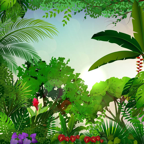 Ilustração vetorial da paisagem da manhã tropical com palmeiras e folhas
 - Vetor, Imagem