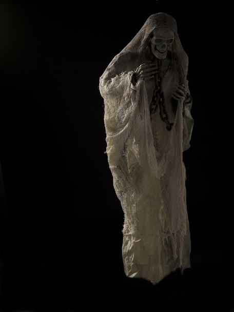 vista di uno scheletro umano
 - Foto, immagini