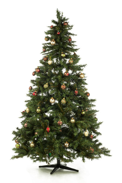 full length christmas tree - Φωτογραφία, εικόνα