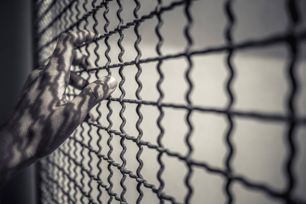 рука заключенного, держащего металлический забор с узором тени, преступника, запертого в тюрьме в ожидании свободы, черно-белый тон
 - Фото, изображение
