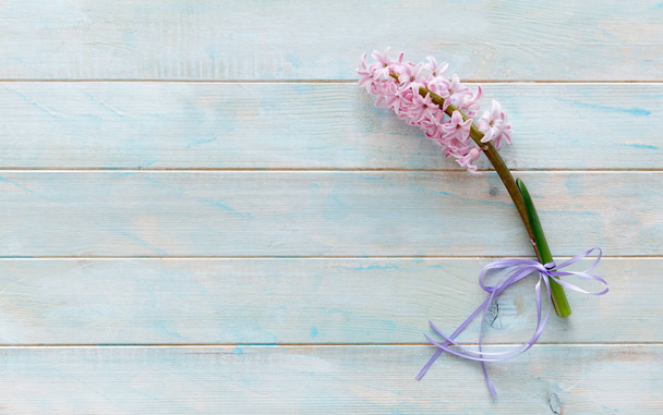Branch of pink hyacinth flowers - Zdjęcie, obraz