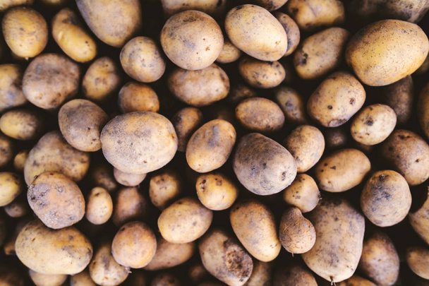 Close up of fresh potatoes. - Valokuva, kuva