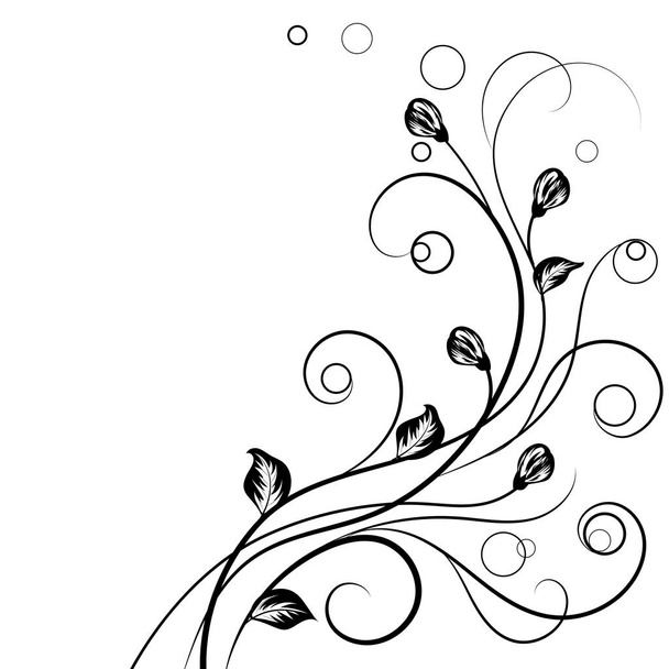 Floral background in black and white - Vector, afbeelding