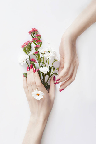Beautiful well-groomed hands with wild flowers on the table, ant - Foto, Imagem