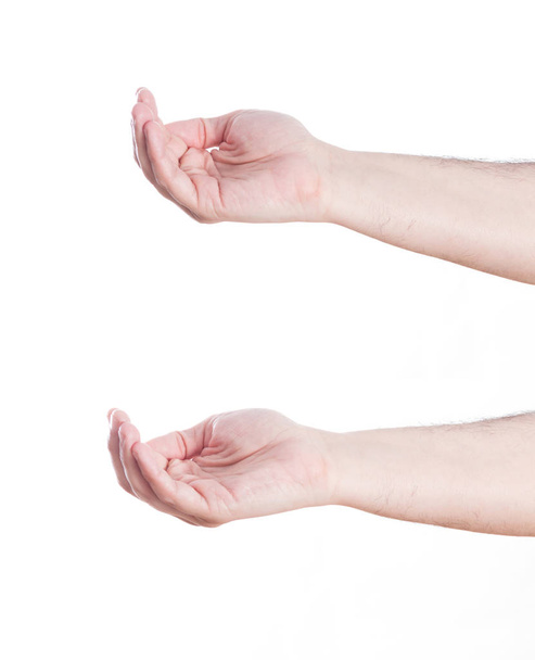Set of gesturing hands, on white background. - Photo, Image