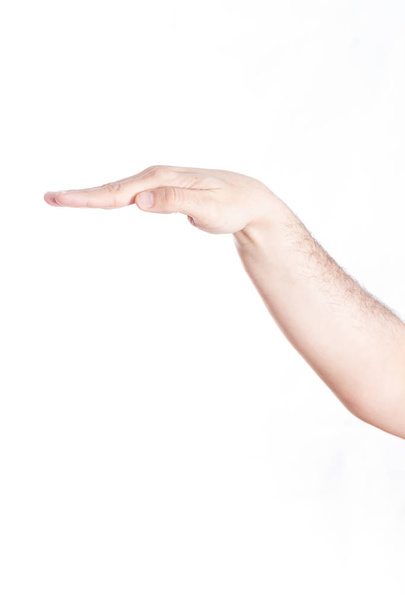 Hand gesturing level/ size, on white background. - Photo, Image