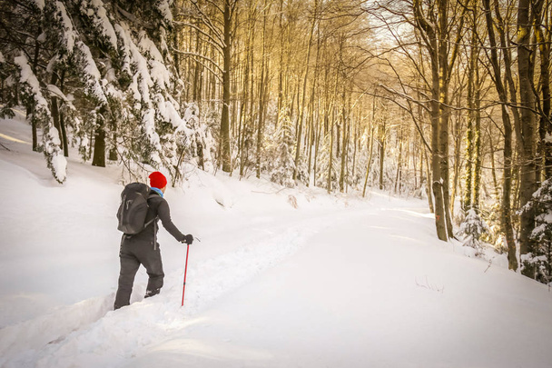 Hiker walking on a snowy mountain - Fotó, kép