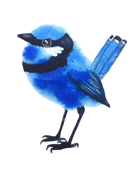 маленький яскраво-синій птах з чорною смугою на обличчі і грудях, акварельний живопис
 - Фото, зображення