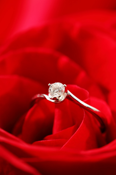 růže a prsten - Fotografie, Obrázek