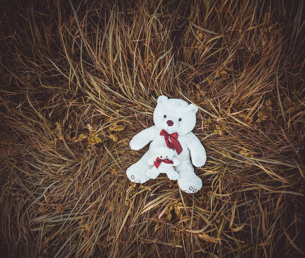 Dvě bílé plyšové hračky medvídci na žlutých trávě  - Fotografie, Obrázek