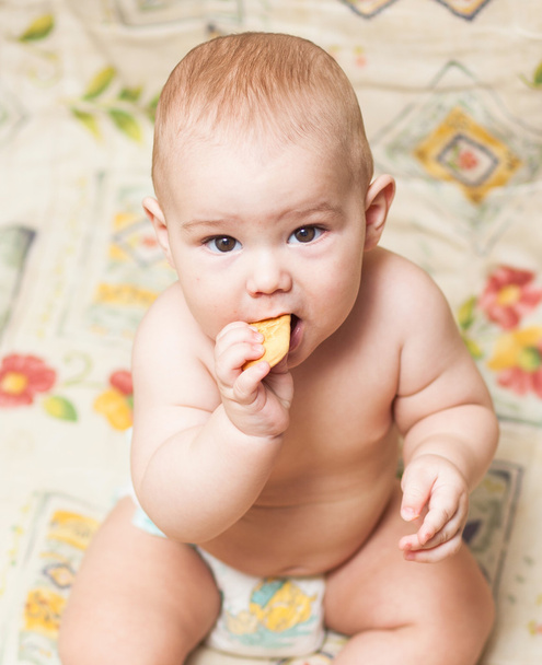 little child eating biscuit - Photo, image