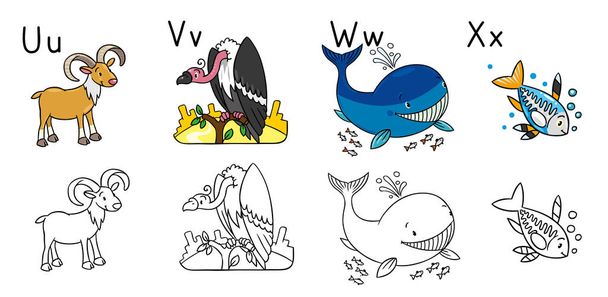 Animals alphabet or ABC. Coloring book - Vector, Image
