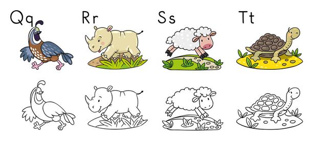Animals alphabet or ABC. Coloring book - Vector, Image