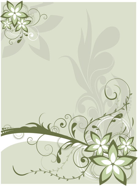 Plant patterns - Vector, Image