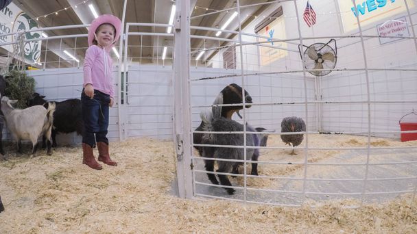 Petting zoo at the Western Stock Show - Foto, afbeelding