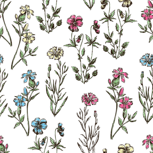 Seamless background of the wildflowers - Vector, Image